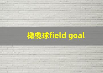 橄榄球field goal